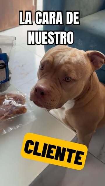 La cara de nuestro cliente: perro probando snacks Garrapata